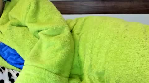 Snapshot of 00ingrid00 chatting on November 2025 01:38:02 AM 00ingrid00 online show from November 2025 01:38:02 AM