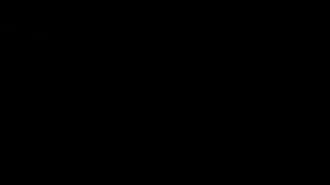 Snapshot of 0815____pet chatting on December 2024 10:37:01 PM Peter online show from December 2024 10:37:01 PM