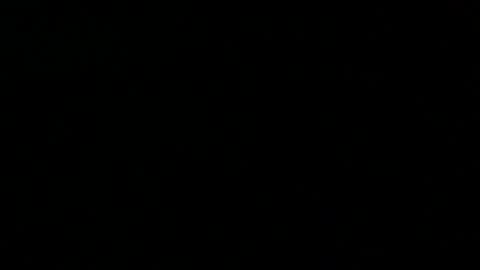 Snapshot of 0815____pet chatting on February 2025 08:00:01 PM Peter online show from February 2025 08:00:01 PM