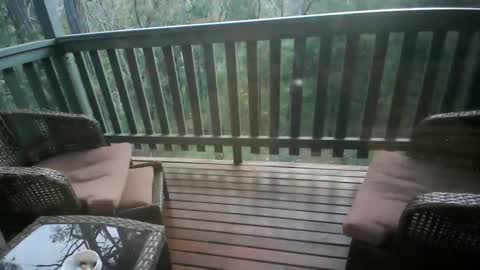 Intenseduo online show from November 2025 09:19:02 AM