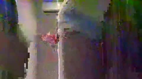 Snapshot of 14pocketpussy12 chatting on December 2025 02:10:02 PM 14pocketpussy12 online show from December 2025 02:10:02 PM