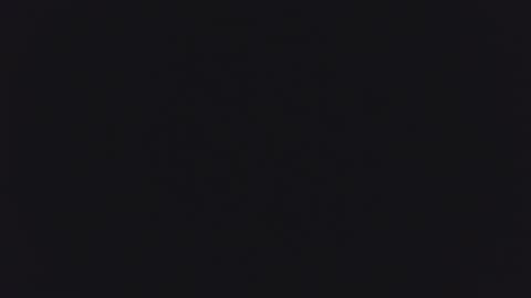 1900pley online show from April 2026 10:27:02 AM