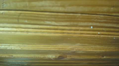 Carl the good girl online show from February 2025 11:44:02 AM