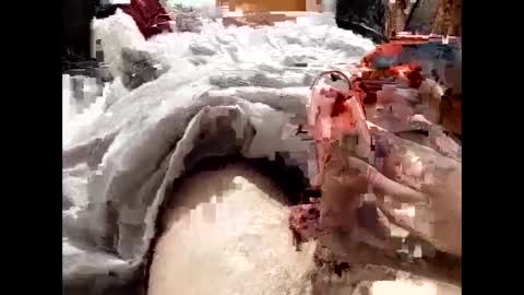 Snapshot of 19spieler99 chatting on February 2025 08:21:01 PM 19spieler99 online show from February 2025 08:21:01 PM