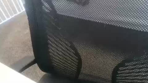 1chris505 online show from January 2025 06:01:02 PM