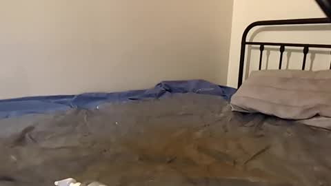 1toxiclust online show from November 2025 02:36:01 AM