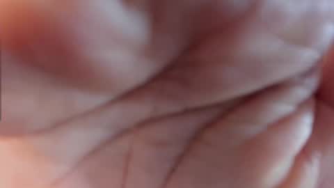 1wayra online show from November 2025 04:07:02 PM