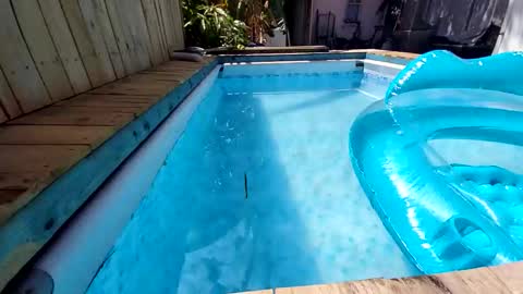 247nude1987 online show from November 2025 11:47:02 PM