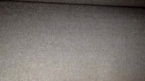 30nick online show from February 2026 03:54:01 AM