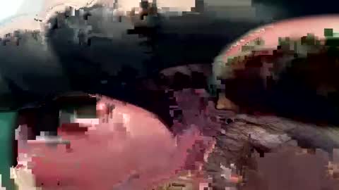 Snapshot of 420_johnnystamina chatting on February 2025 04:45:02 PM 420_johnnystamina online show from February 2025 04:45:02 PM