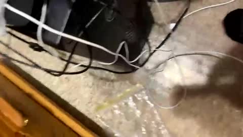 Snapshot of 420bbwadmirer chatting on January 2025 03:17:02 PM 420bbwlover online show from January 2025 03:17:02 PM