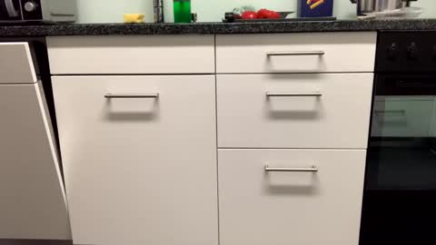 Alex online show from November 2025 05:37:02 PM