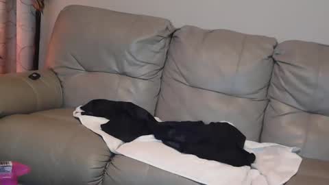 Snapshot of 4theloveofjane chatting on January 2025 08:04:02 PM Jane online show from January 2025 08:04:02 PM