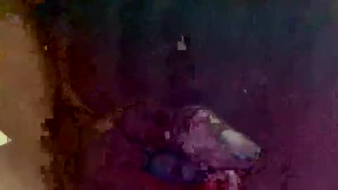 Snapshot of 4utootrynow859326 chatting on March 2026 01:40:02 PM 4utootry online show from March 2026 01:40:02 PM