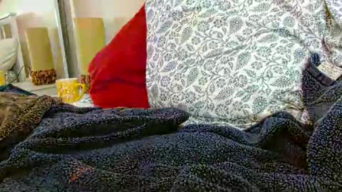 Daddy online show from January 2026 07:11:01 PM