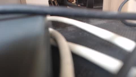 64293boy online show from January 2026 12:43:02 PM