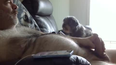 66bear online show from May 2026 02:24:02 PM