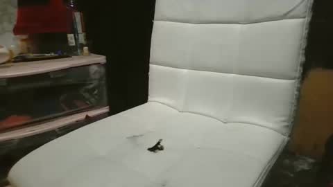 69meowxxx online show from November 2025 03:24:01 PM