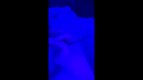 69vz69 online show from March 2026 12:16:02 PM