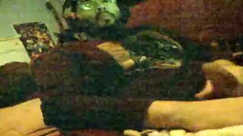 6instraighter7 online show from November 2025 11:55:02 AM