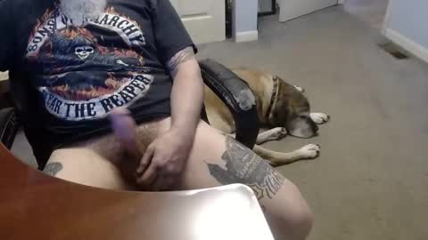 MASTIFF online show from May 2026 12:41:01 AM