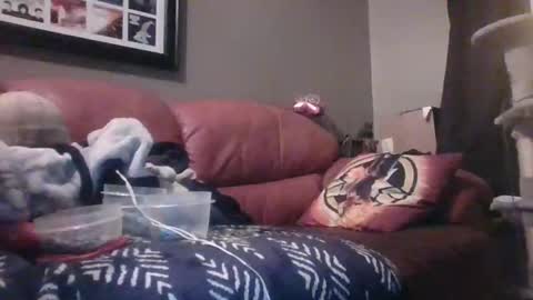 Snapshot of 7inchking269 chatting on February 2026 02:45:01 AM 7inchking269 online show from February 2026 02:45:01 AM