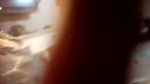 Snapshot of 7lairddip chatting on October 2025 03:59:02 AM 7lairddip online show from October 2025 03:59:02 AM