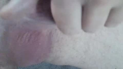 Snapshot of 81_harterschwanz chatting on December 2024 06:20:01 AM Maximilian Max online show from December 2024 06:20:01 AM