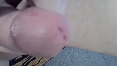 Snapshot of 81_harterschwanz chatting on December 2024 08:20:01 AM Maximilian Max online show from December 2024 08:20:01 AM