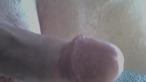 Snapshot of 81_harterschwanz chatting on March 2025 07:47:02 AM Maximilian Max online show from March 2025 07:47:02 AM