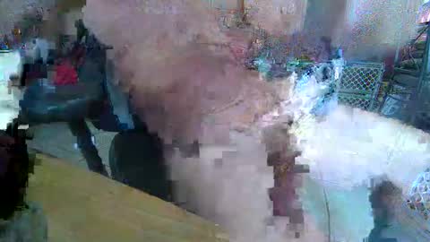 86406stud online show from April 2026 07:07:01 PM