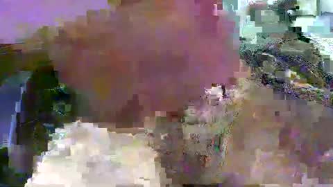 Snapshot of 99zeus9 chatting on January 2025 12:36:01 PM 99zeus9 online show from January 2025 12:36:01 PM