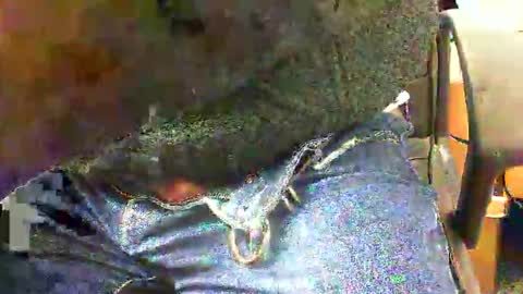 Snapshot of 99zeus9 chatting on November 2025 01:46:02 PM 99zeus9 online show from November 2025 01:46:02 PM