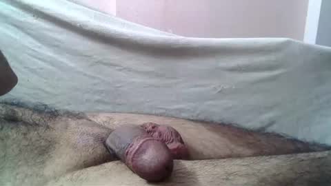 Massive hungry cock online show from June 2026 07:29:01 PM
