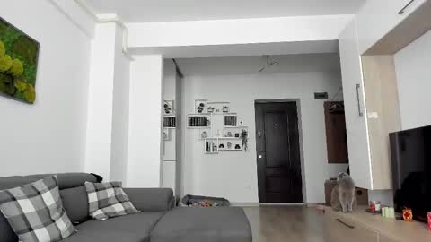 Snapshot of _arry chatting on February 2025 07:45:01 AM Ariana online show from February 2025 07:45:01 AM