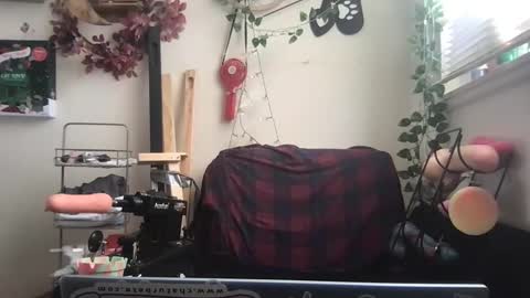 bandit online show from December 2024 03:31:02 PM