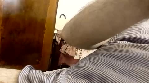 Snapshot of _black_horse_1 chatting on January 2025 03:43:01 AM _black_horse_1 online show from January 2025 03:43:01 AM