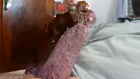 Snapshot of _black_horse_1 chatting on December 2025 02:43:02 AM _black_horse_1 online show from December 2025 02:43:02 AM