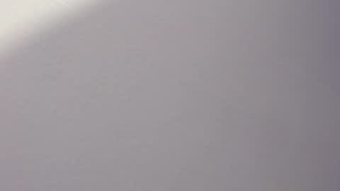 _bonnie__and_clyde online show from April 2026 09:30:02 PM