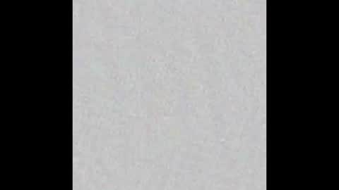 Brenda online show from October 2025 11:53:02 AM