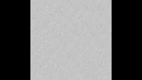 Brenda online show from November 2025 11:42:01 AM