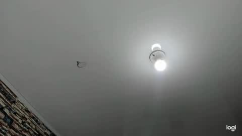 Snapshot of _casandra11 chatting on January 2025 09:39:02 AM _casandra11 online show from January 2025 09:39:02 AM