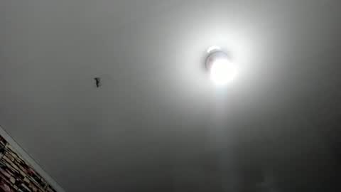 Snapshot of _casandra11 chatting on February 2025 03:36:01 AM _casandra11 online show from February 2025 03:36:01 AM