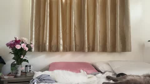 Snapshot of _chelsea___ chatting on February 2025 09:16:02 PM Chelsea xo online show from February 2025 09:16:02 PM