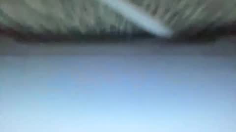 Snapshot of _direwolf_ chatting on February 2026 10:59:01 AM _direwolf_ online show from February 2026 10:59:01 AM