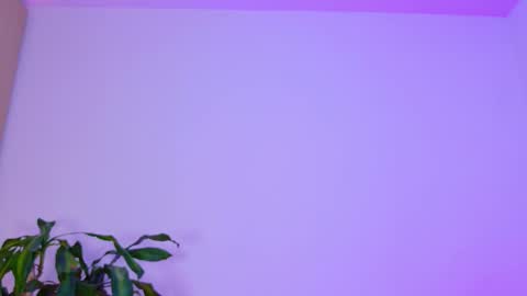 Snapshot of _emilymoon_x chatting on February 2026 02:53:01 AM Emi online show from February 2026 02:53:01 AM