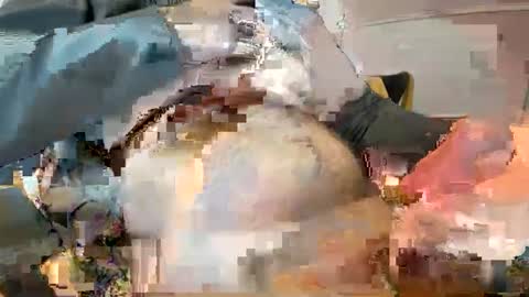 Snapshot of _ginger_boy chatting on February 2025 10:20:02 AM Ginger boy online show from February 2025 10:20:02 AM