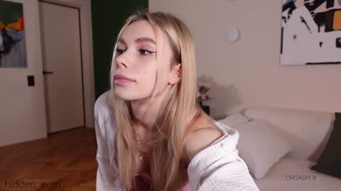 Snapshot of _hidden_gem_ chatting on January 2025 04:10:01 PM Laura online show from January 2025 04:10:01 PM