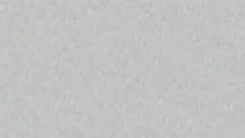 Miss Jade online show from July 2026 11:28:01 AM
