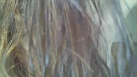 KAPELKA   online show from February 2025 02:39:01 AM